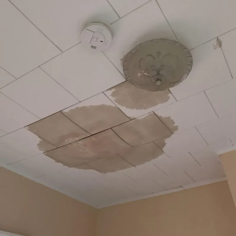 Ceiling Water Damage Repair in Montgomery, IL