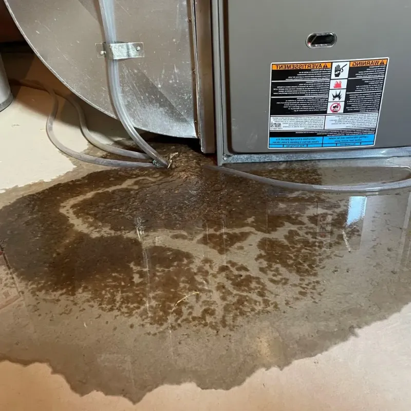 Pipe Burst and Leak Restoration in Montgomery, IL