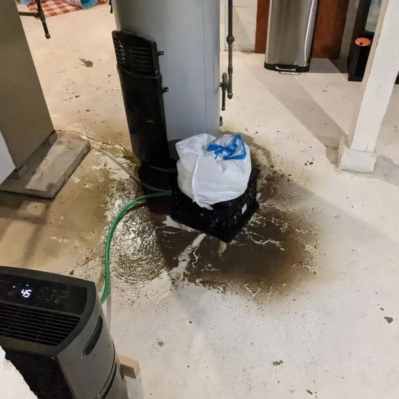 Sewage Backup Cleanup Service in Montgomery, IL